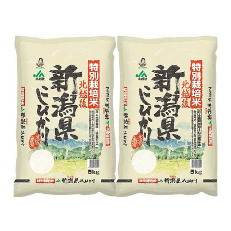 新潟 JA北越後産 特別栽培米コシヒカリ 5kgx2 白米 お米 精米 米 銘柄米 美味しい おこめ こめ もっちり ごはん おにぎり 独特の粘りとコ