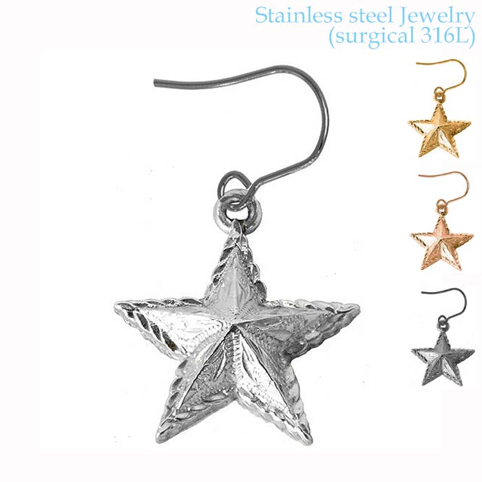 ハワイアンジュエリー サージカル ステンレス アクセサリー 316L スター フックタイプ ピアス 片耳販売 1個売り レディース メンズ 星 ハワジュ 金属アレルギーフリー 人気 ギフト 誕生日 ク